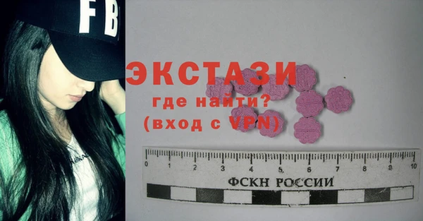индика Коряжма