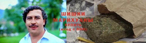 индика Коряжма