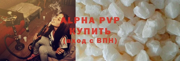 индика Коряжма