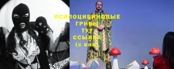 apvp Корсаков