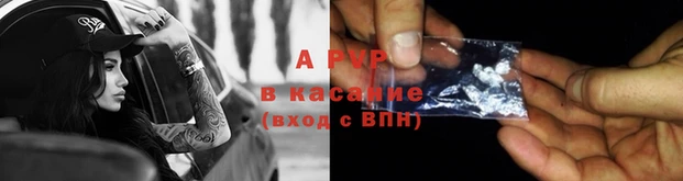 индика Коряжма