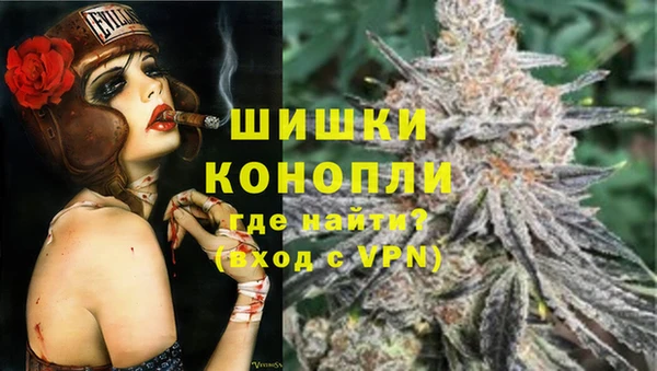 индика Коряжма