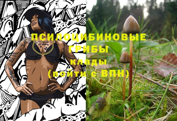 индика Коряжма