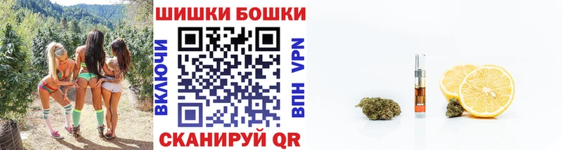 Бошки марихуана AK-47  Купить закладки  Мегион 